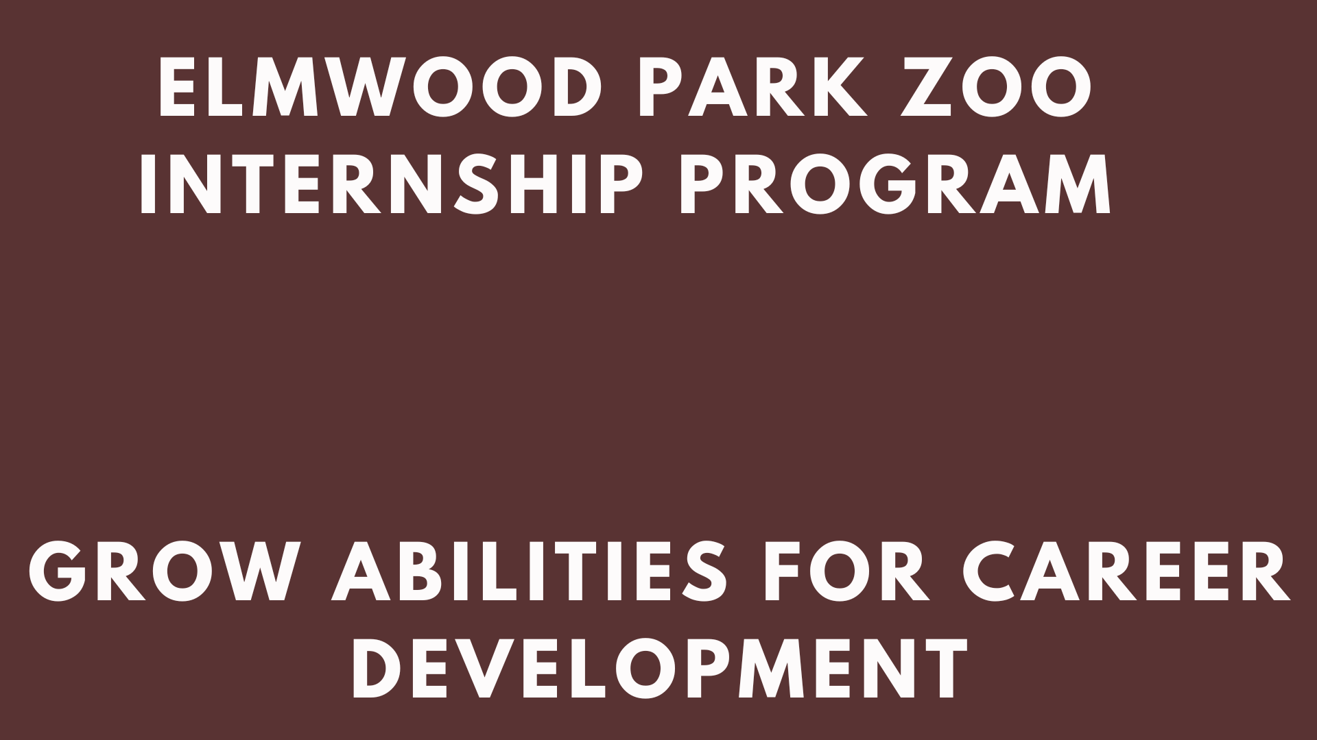 View of Internship Programs - Careers at Airbnb