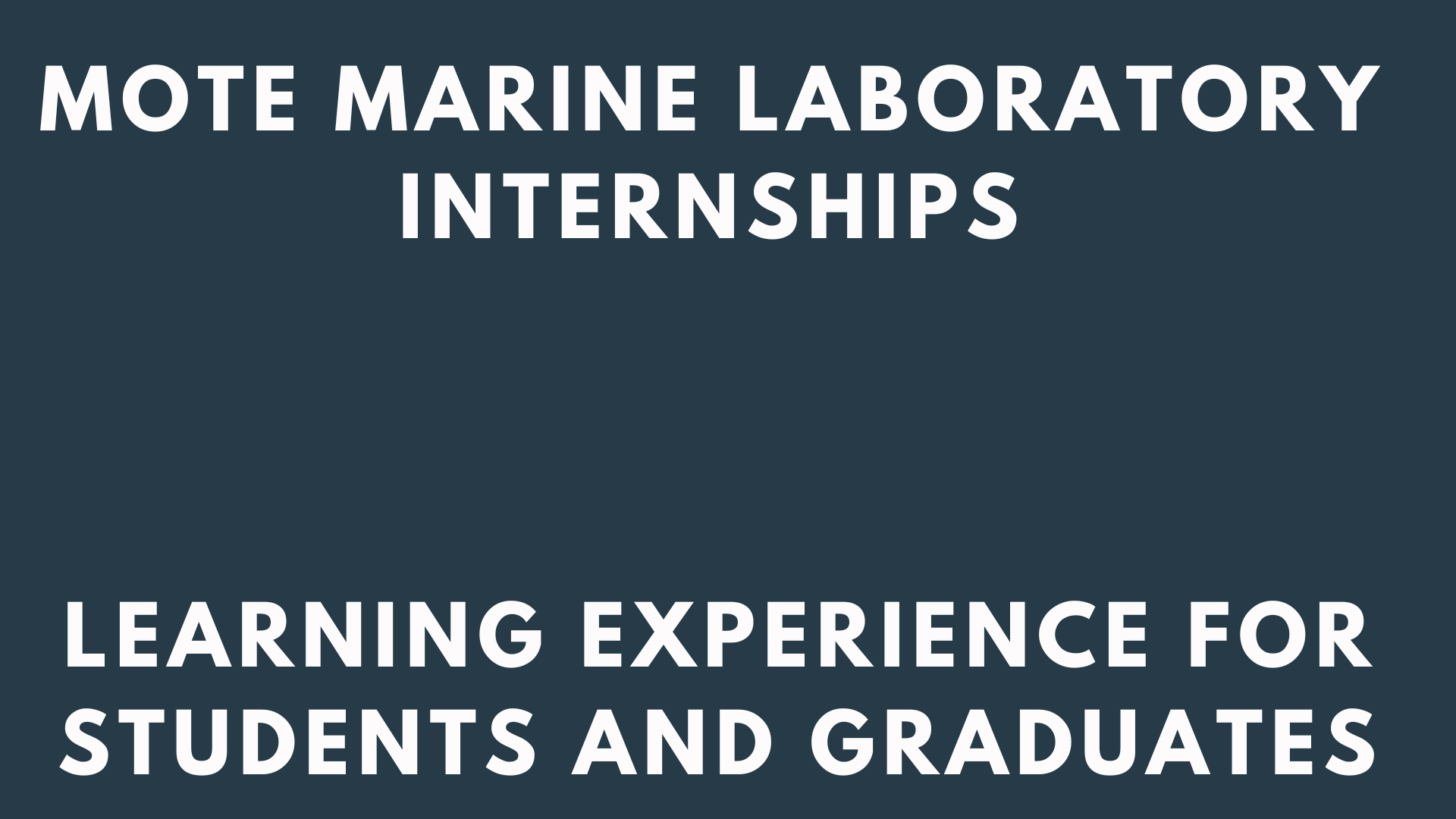 Mote Marine Laboratory Internships