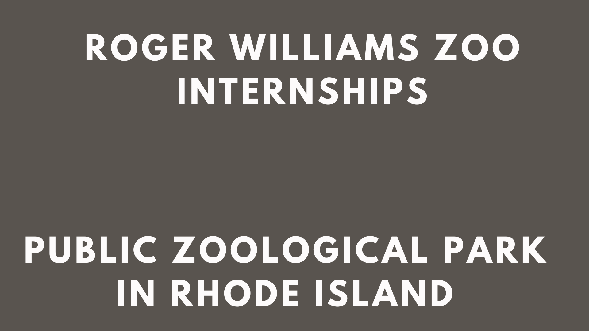 Roger Williams Zoo Internships