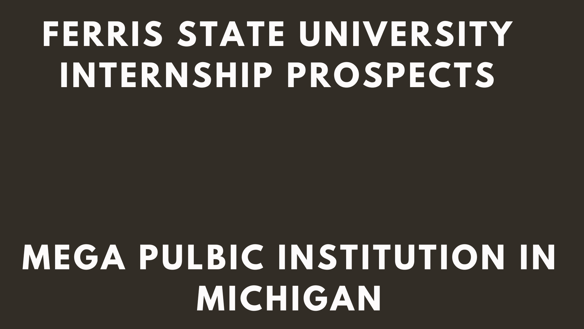 Ferris State University Internship