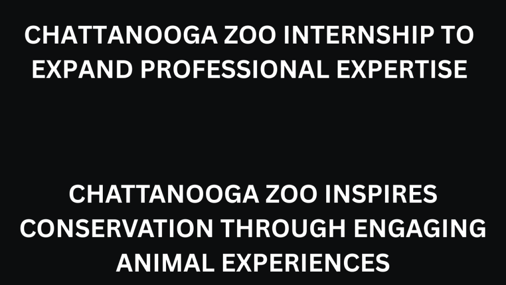 Chattanooga Zoo Internship